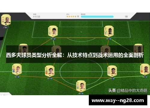 西多夫球员类型分析全解：从技术特点到战术运用的全面剖析