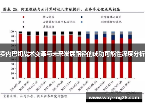 费内巴切战术变革与未来发展路径的成功可能性深度分析