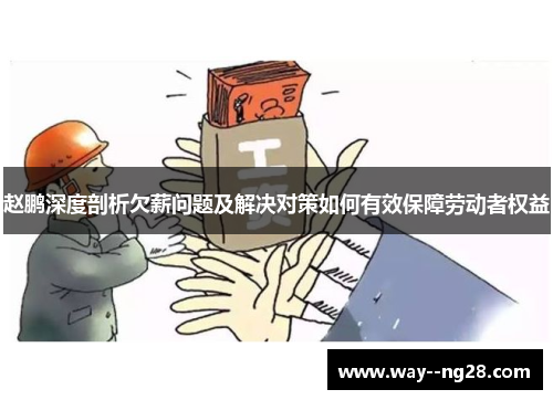 赵鹏深度剖析欠薪问题及解决对策如何有效保障劳动者权益