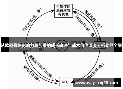 从欧冠赛场影响力看加维的成长轨迹与战术价值演变分析路径全景